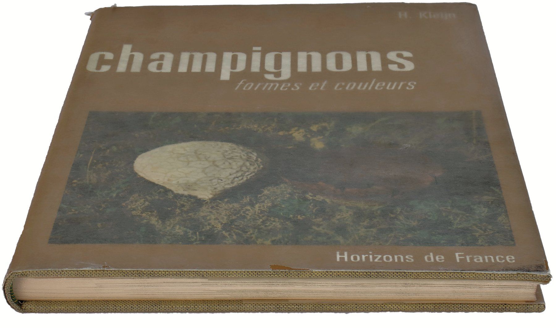 Libri: CHAMPIGNONS "Formes et Couleurs" H. Kleijn – Usato da Onex venduto da gonsla 3