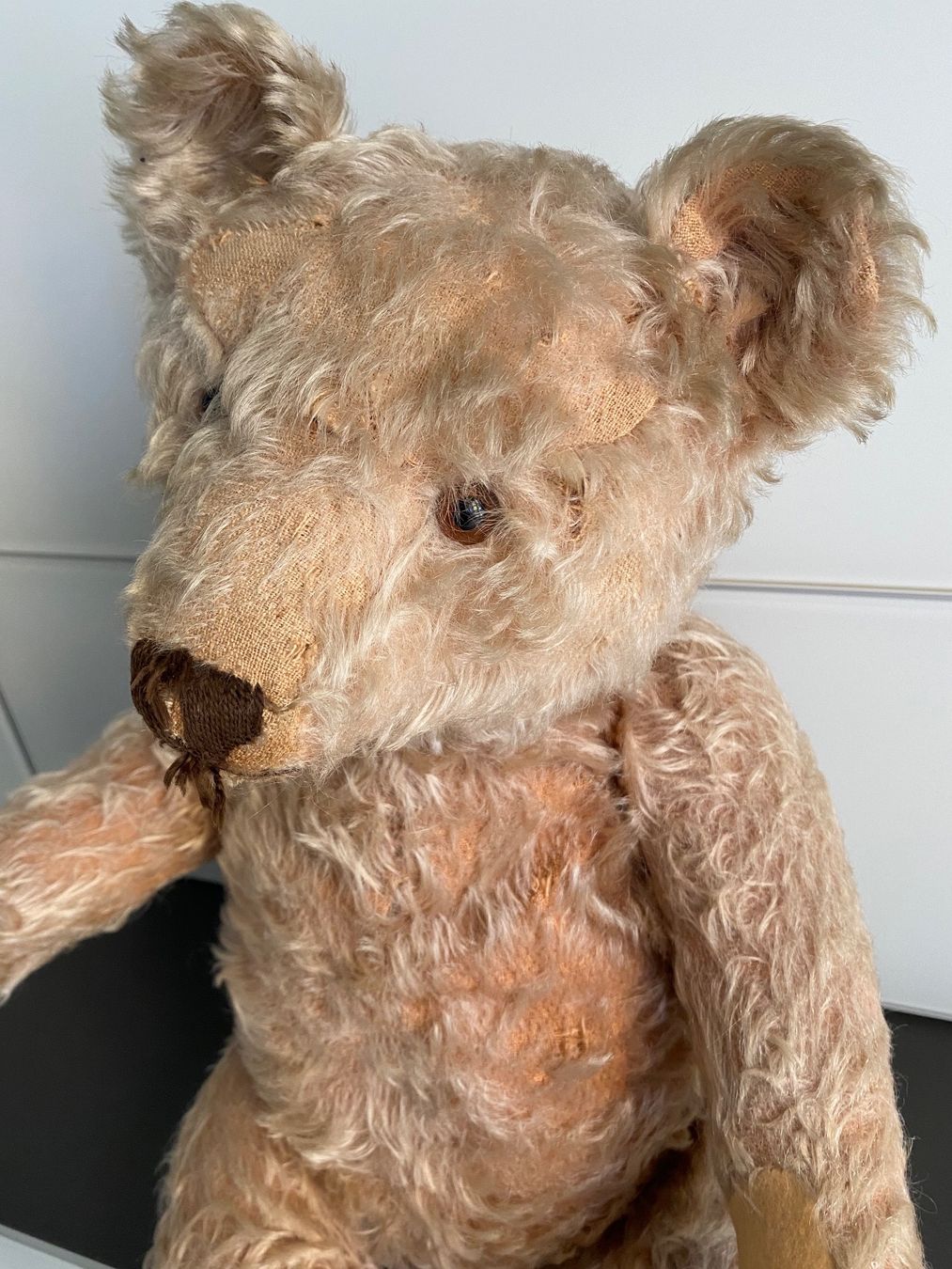 Steiff Puppen: Steiff Teddybär – Gebraucht aus Luzern von Mecgy 1