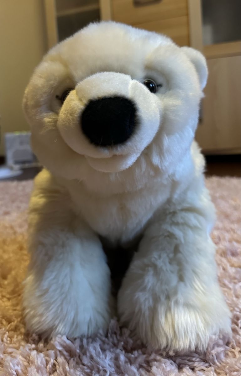 Giocattoli: Stofftier Eisbär NEU – Nuovo (secondo la descrizione) da Herzogenbuchsee venduto da SaRaDe77