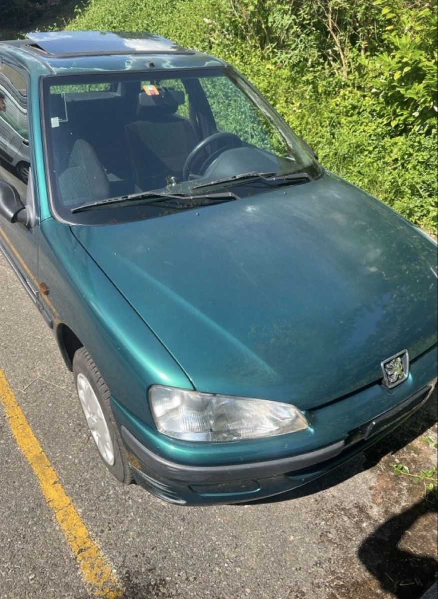 Peugeot Automobili: Peugeot 106 Color Lines  – Usato da Steckborn venduto da dnb_282s