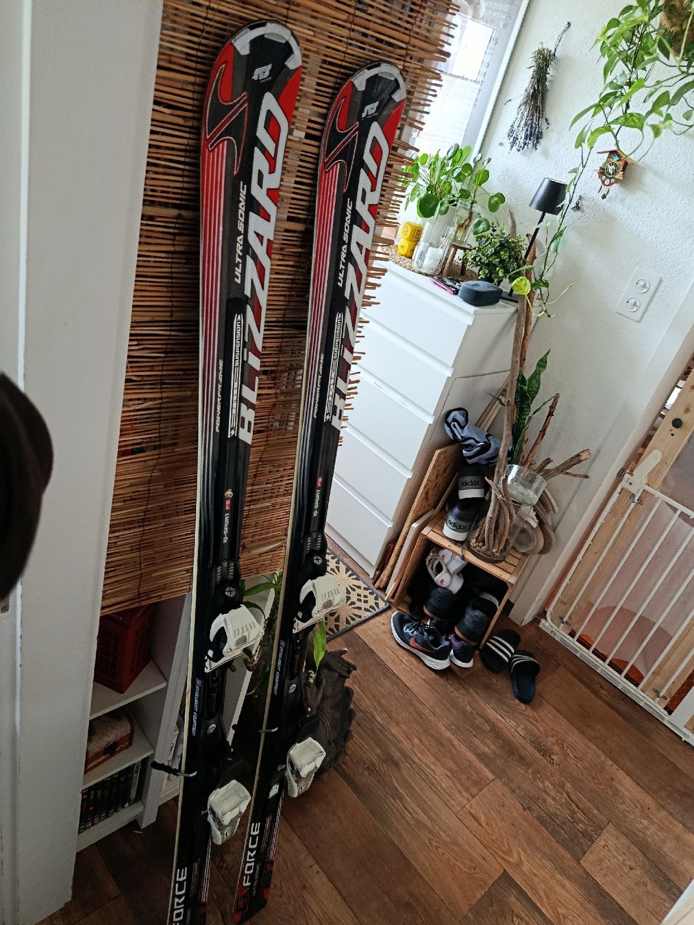 Blizzard Skis: völkl und blizzard ski – Gebraucht aus Ebmatingen von ble_gmw8 1