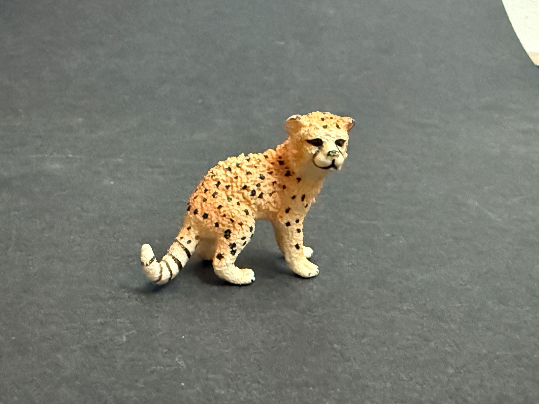 Schleich Statuette: Schleich Gepard mit Gepardenbaby – Usato da Ennetbaden venduto da mapa05 2