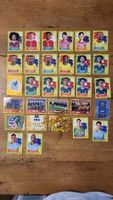 30 Paninibilder WM 2026