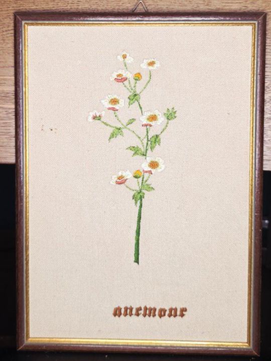 Dipinti: Broderie - Anémone - 32 x 23 cm – Usato da Plan-les-Ouates venduto da NomadeMarchand