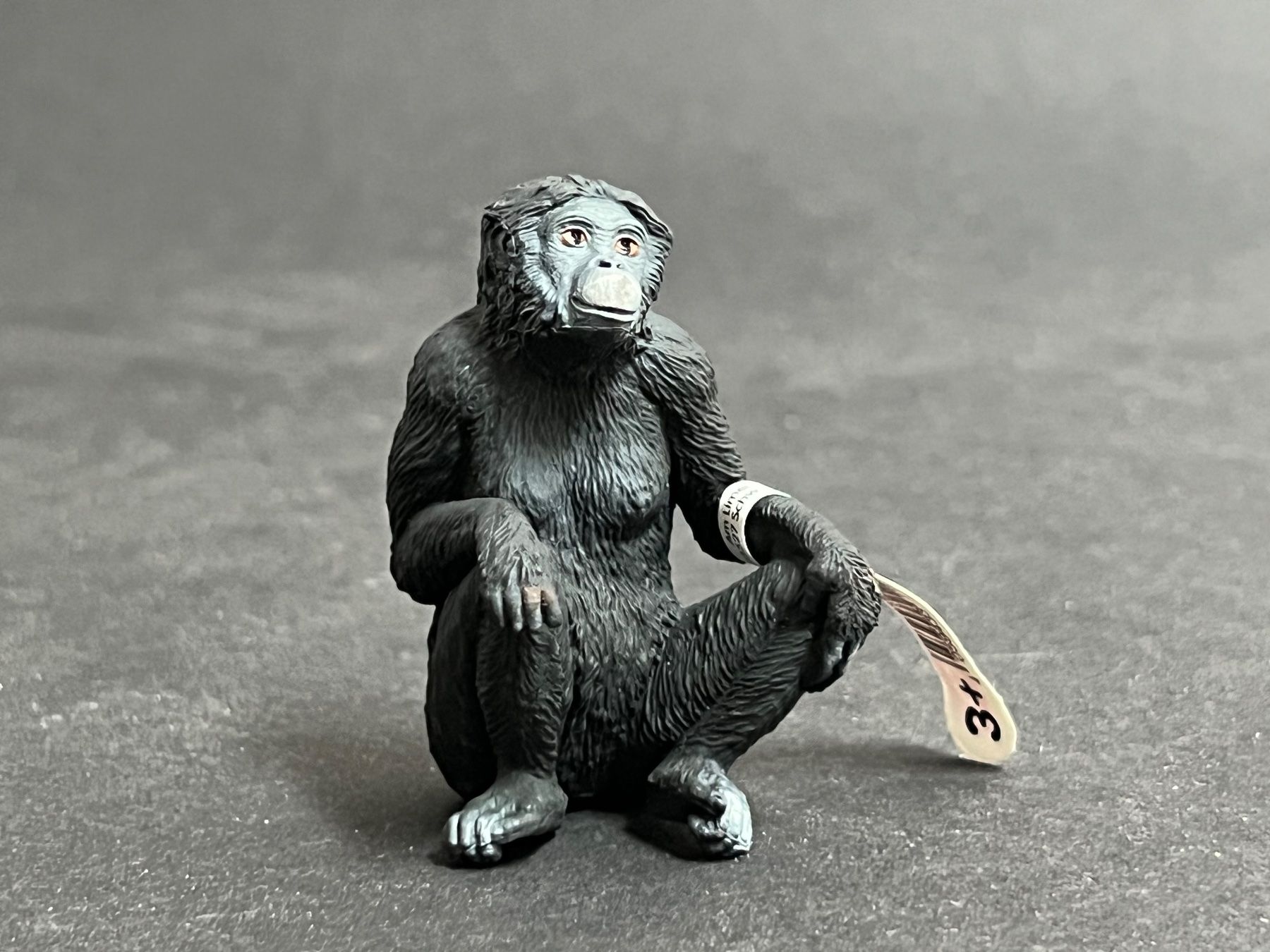 Schleich Statuette: Schleich Bonobo Weibchen Affe NEU – Nuovo (secondo la descrizione) da Ennetbaden venduto da mapa05