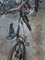 Wheeler Velo