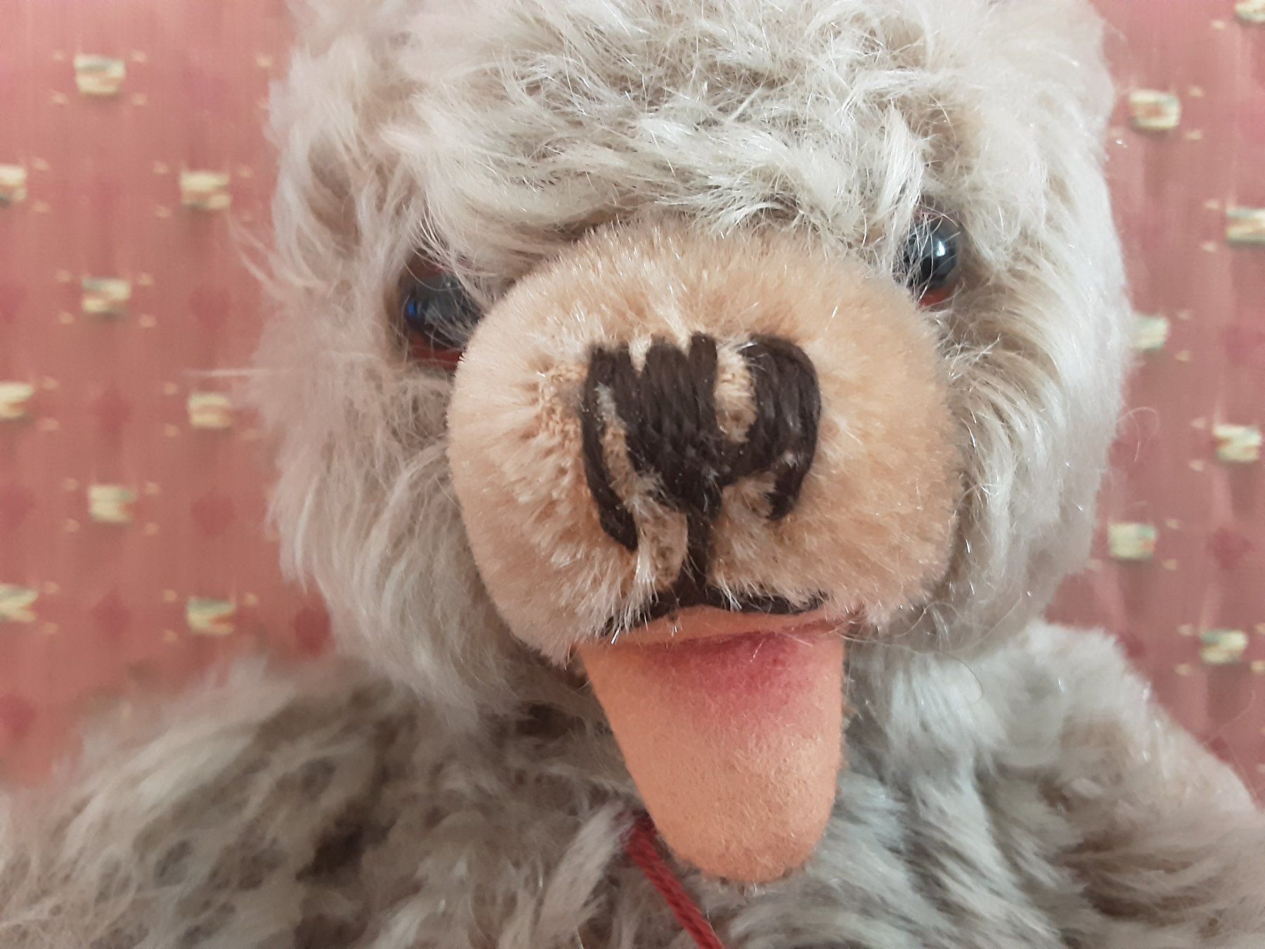 Giocattoli: HERMANN Teddy ORIGINAL – Usato da St. Gallen venduto da charly92 1