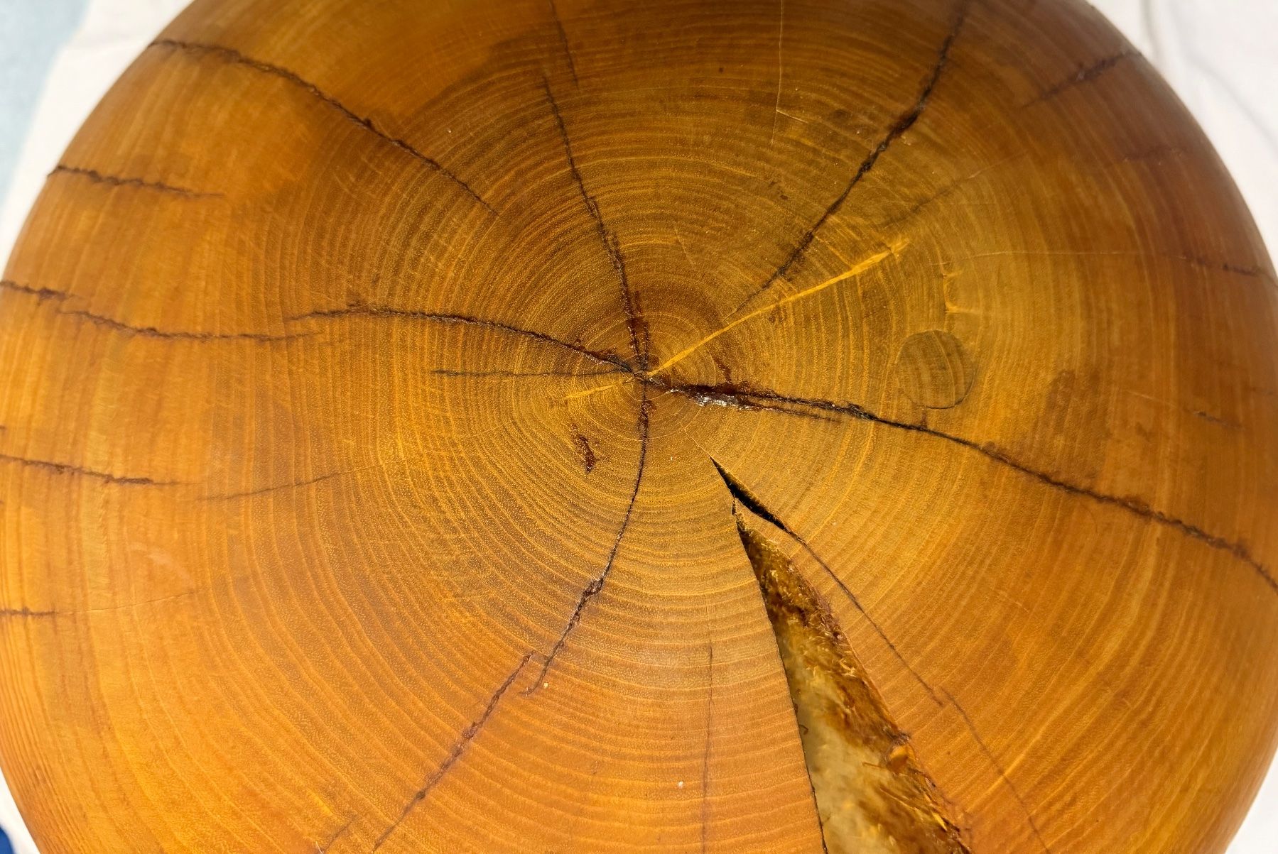 Articoli in legno: Holzkugel Esche; 52 cm; geölt – Nuovo (secondo la descrizione) da Wildberg venduto da Melramos04 4