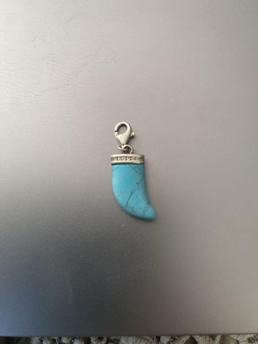 Thomas Sabo Ciondoli: Thomas Sabo Charm Zahn – Usato da Muri AG venduto da sonneblueme10