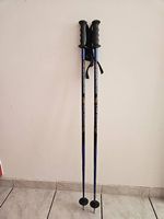 Bâtons de ski carving Eurototeam Pro Carve  110 cm