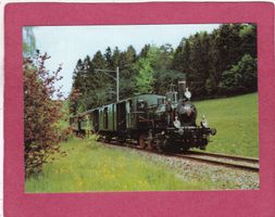 DVZO Dampfzug in Ettenhausen