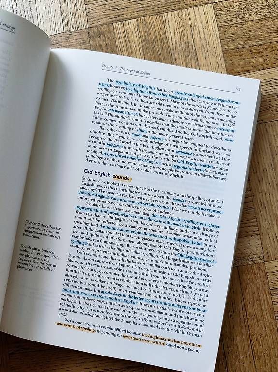 Libri: English: history, diversity and change – Usato da Mägenwil venduto da VintageGirly 1
