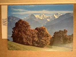 AK von Eiger Mönch und Jungfrau / Bergpanorama