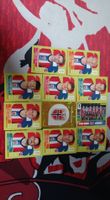 Panini FIFA WM 2026 Sticker Norwegen