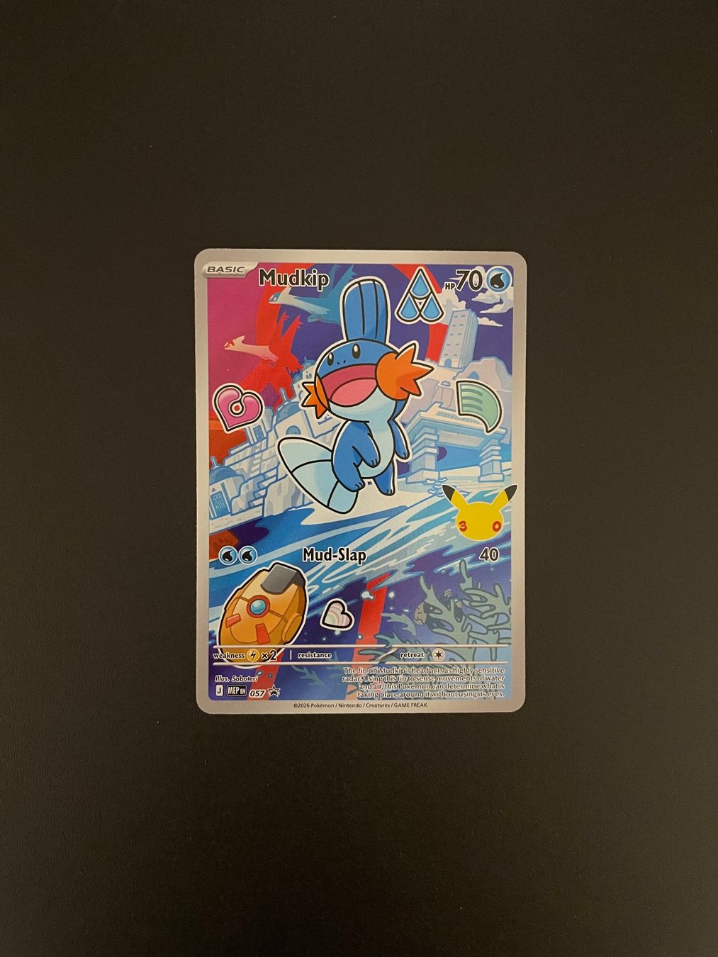 Pokémon Sammelbilder & Trading cards: Pokémon First Partner Gen 3 Treecko, Torchic & Mudkip – Gebraucht aus Zürich von kev_c5cb 6