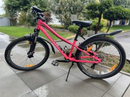 Kinderfahrrad Specialized Hotrock 24 Zoll (npink guter Zusta
