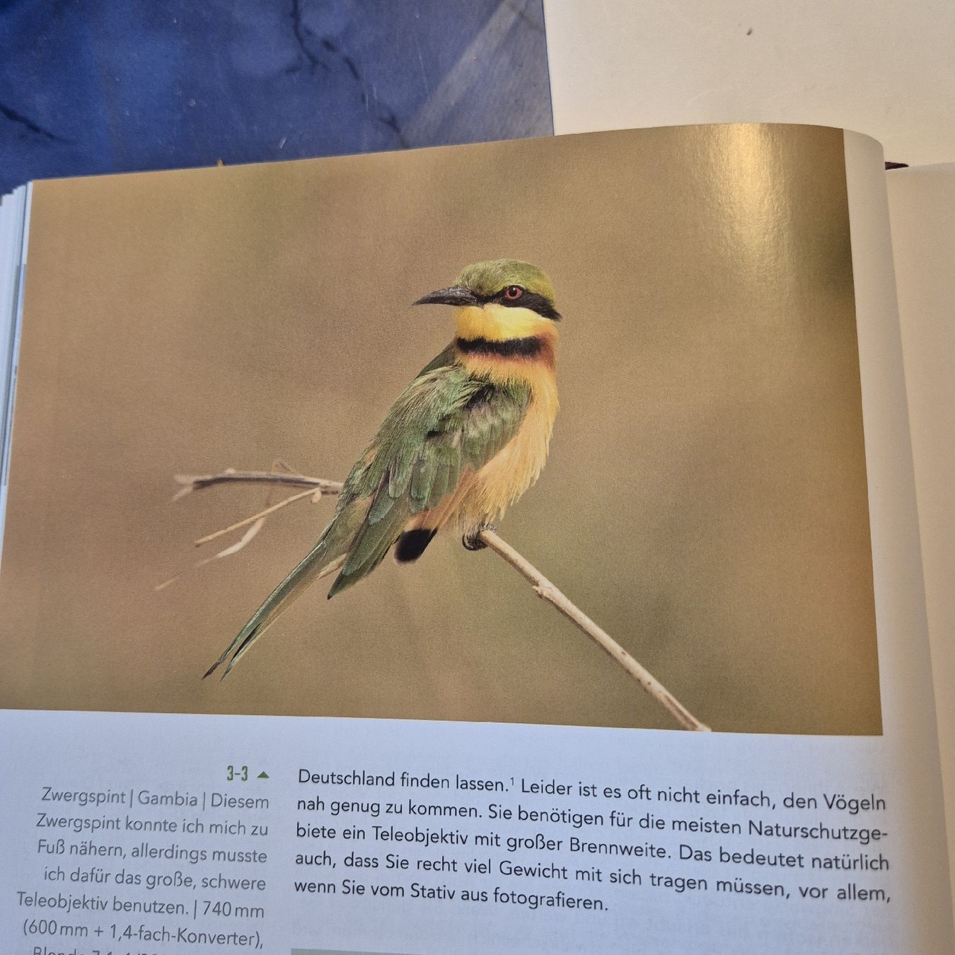 Libri: Faszination Vogelfotografie – Nuovo (secondo la descrizione) da Weinfelden venduto da piadesha 3