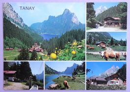 Tannay / Miex Alt. 1425 m