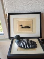 2 alte Lithographien mit Hand geschnitzte Holz Ente signiert