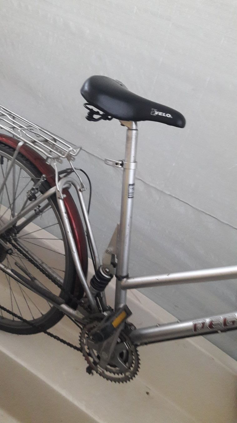 Biciclette: Velo Pegasus – Usato da Laufen venduto da Mann455 6