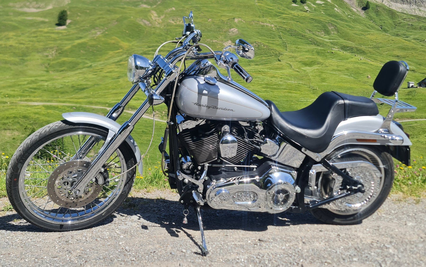 Harley-Davidson Chopper: Harley Davidson FXSTD Softaile Deuce – Usato da Sargans venduto da SPS70