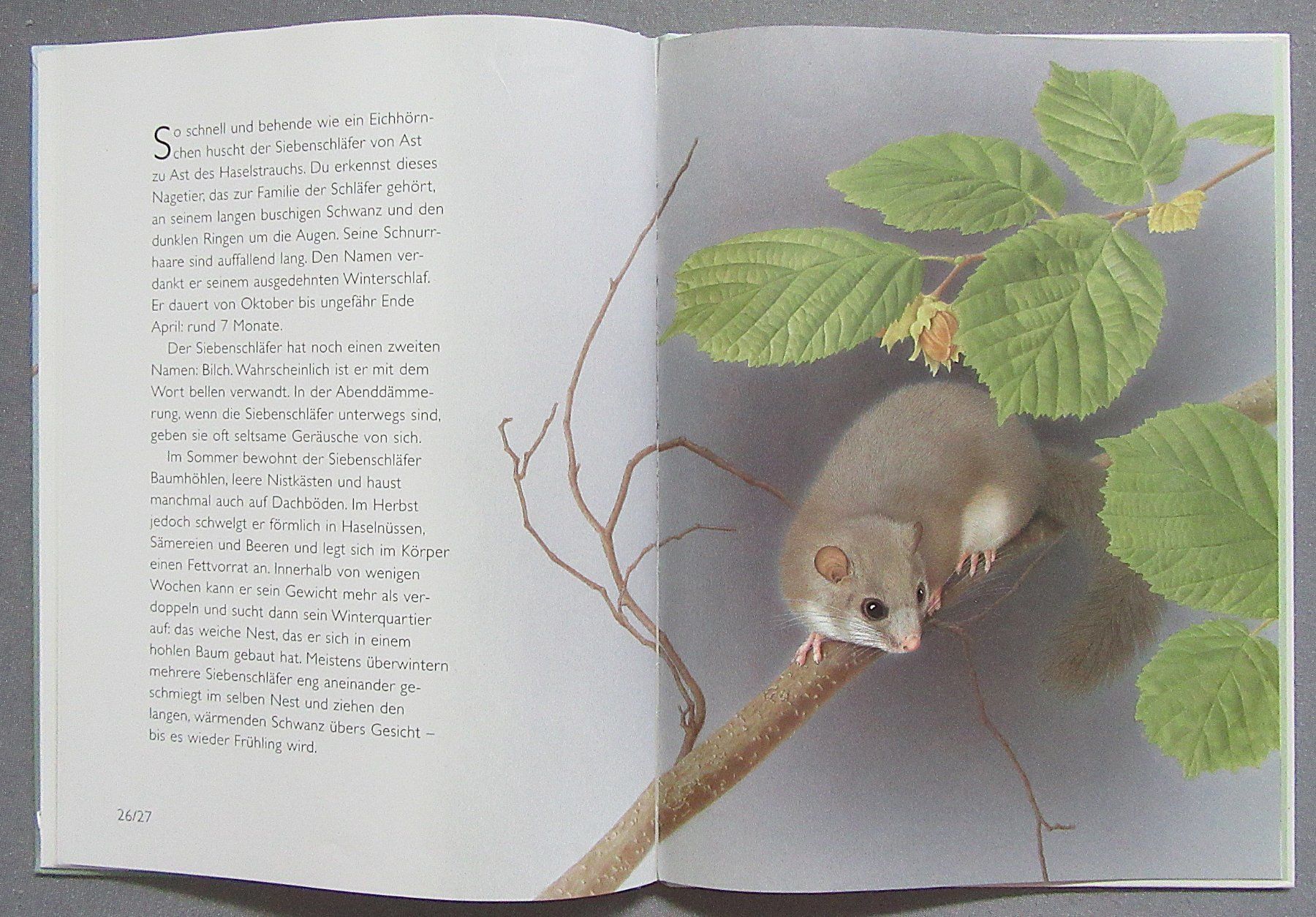 Livres: Tiere im Garten - ein Atlantis Kinderbuch – D'occasion à Auenstein par Padabimbim 7