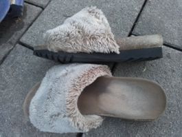 SCHOLL Finken Gr.37