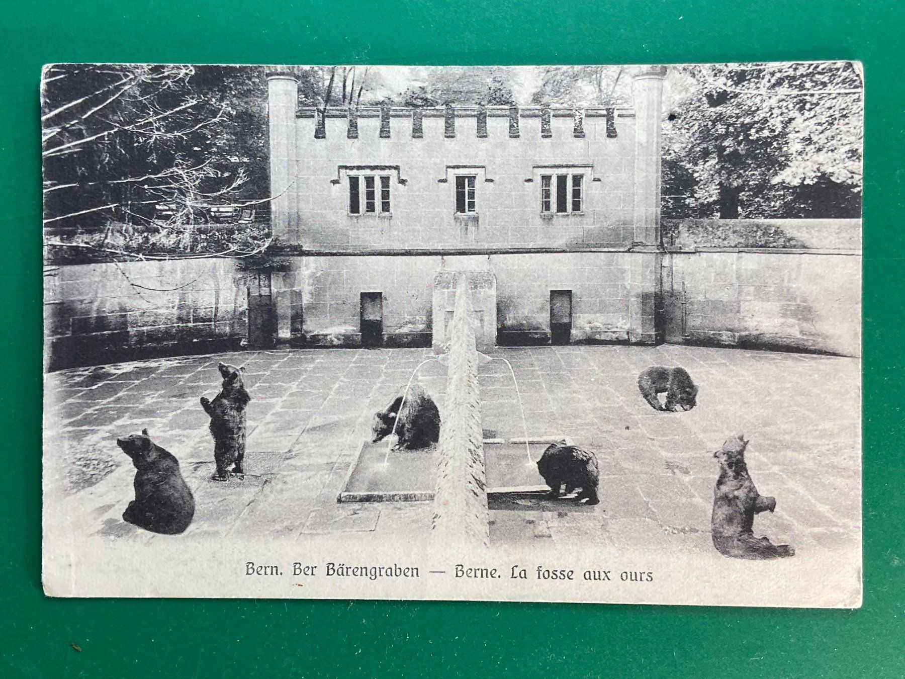 Cartoline postali: Bern, Bärengraben – Usato da Steg VS venduto da danwer74