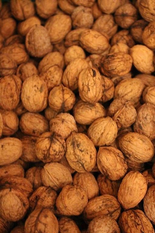 Cibi & Specialità: Baumnüsse – Usato da Wolfenschiessen venduto da Un17