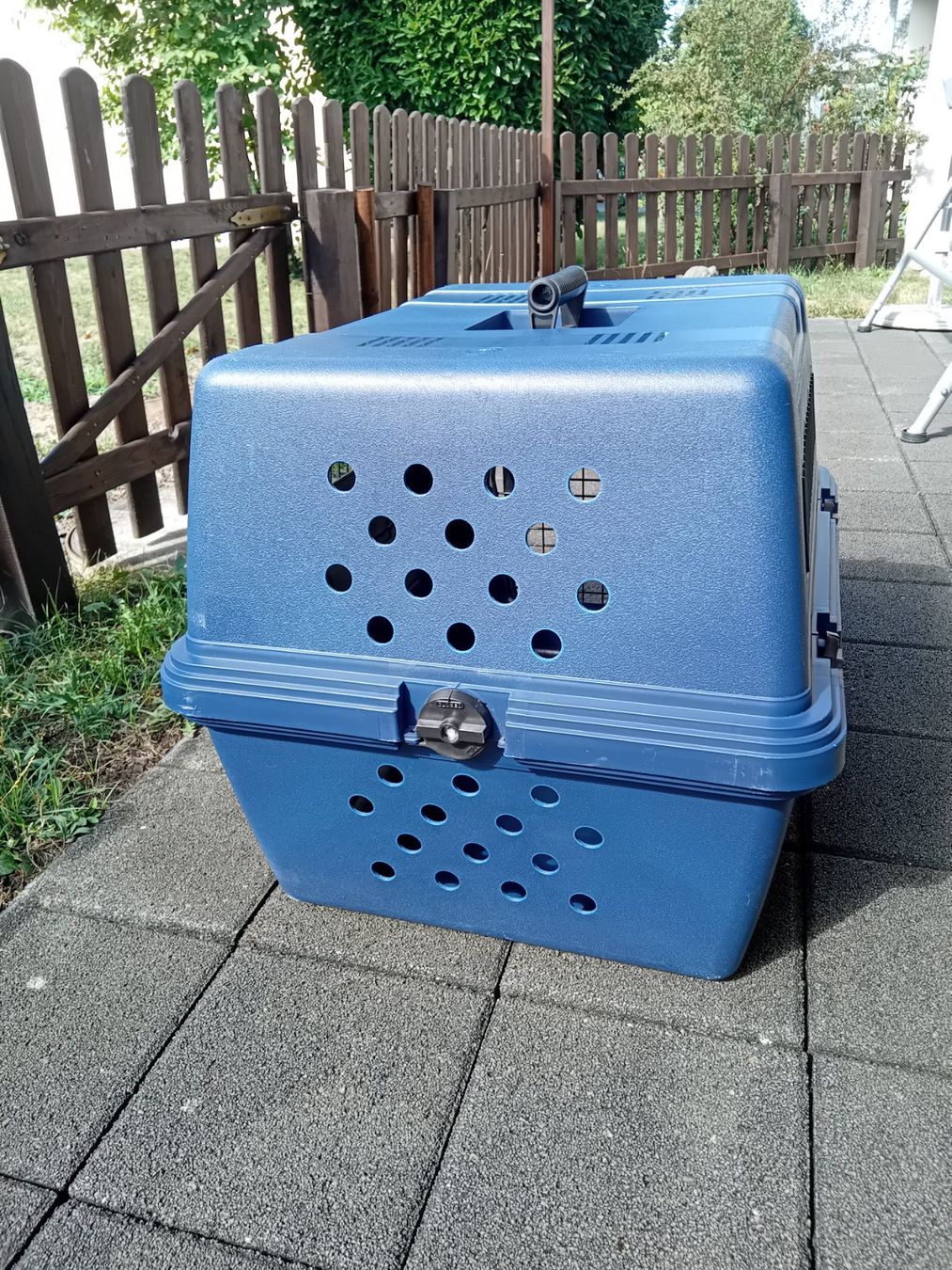 Käfige, Transport & Sicherheit: Hunde-Transportbox – Gebraucht aus Bätterkinden von 1judith 4