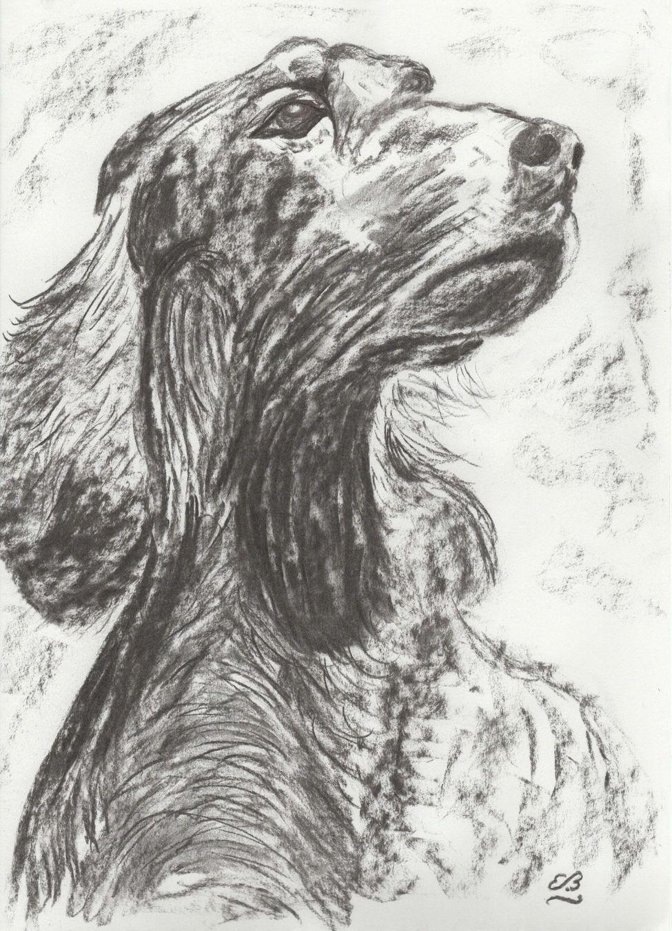 Dipinti: Zeichnung: Irischer Setter I – Usato da Fribourg venduto da erw_68dx