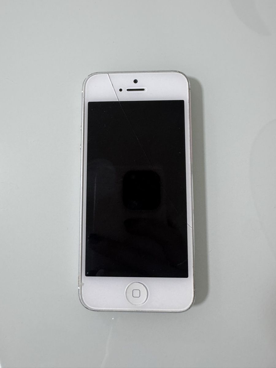 Apple Telefoni cellulari / Smartphones: iPhone 5S – Usato da Glattpark(Opfikon) venduto da laura_studer