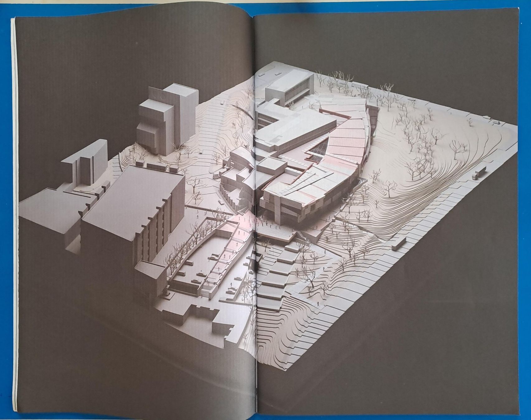 Bücher: Peter Eisenman & Frank Gehry. Biennale 91. SUMO-FORMAT! – Gebraucht aus Zürich von archiphil 4
