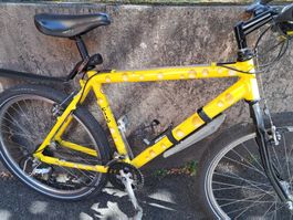 Bike im Käse-Design