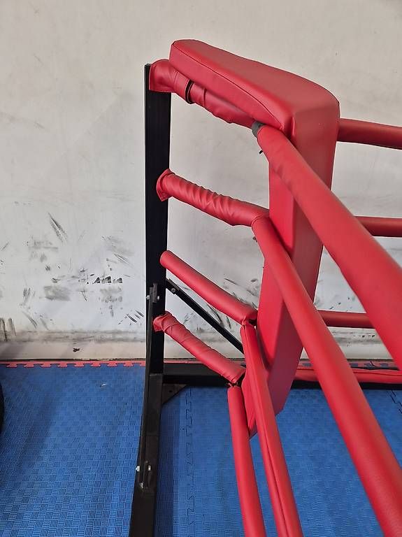 Bagues: Boxring – D'occasion à bronschhofen par Prolf 1