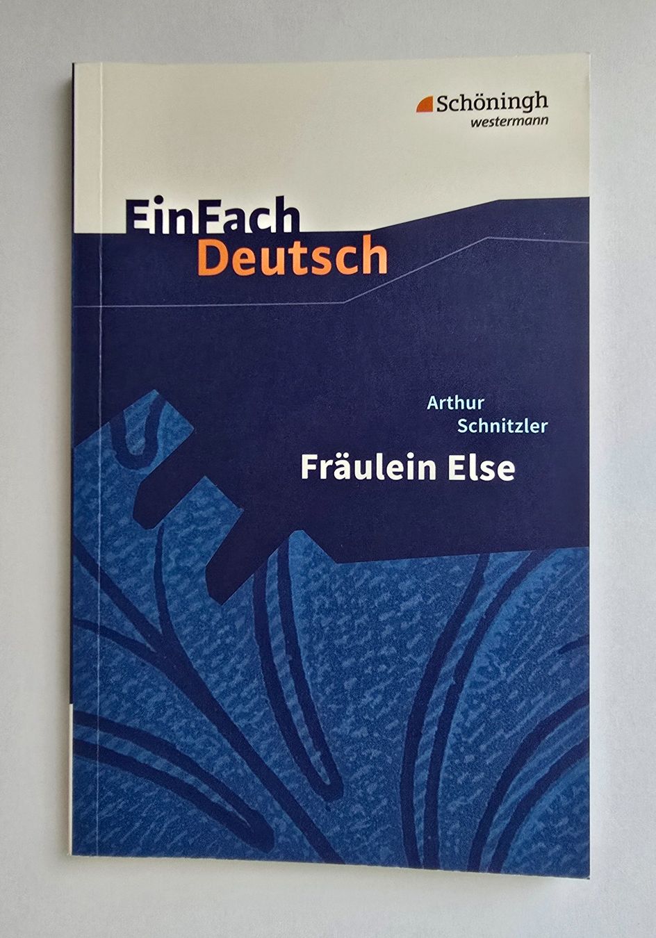 Libri: Fräulein Else, EinFach Deutsch, Arthur Schnitzler – Usato da Zürich venduto da pfo_tjp8