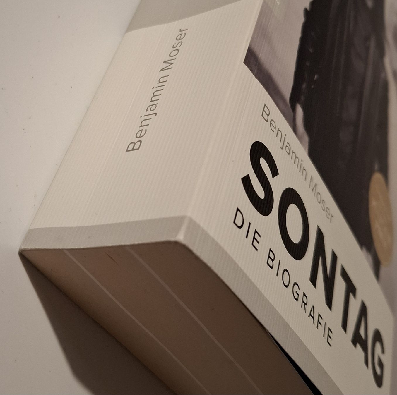 Libri: Susan Sontag - Die Biografie, Benjamin Moser – Usato da Zürich venduto da apf_b8zl 3