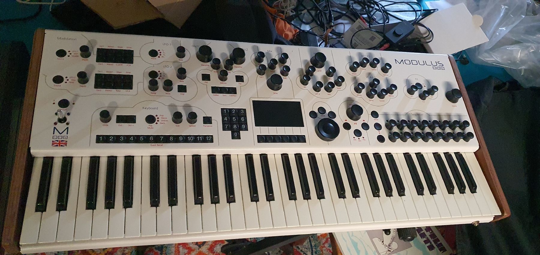 Modal Electronics Strumenti musicali: Modal 002 mit Koffer - wie neu – Nuovo (secondo la descrizione) da Muri AG venduto da Jeromia 1