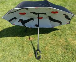 Schirm für Sonnenschein und Regen