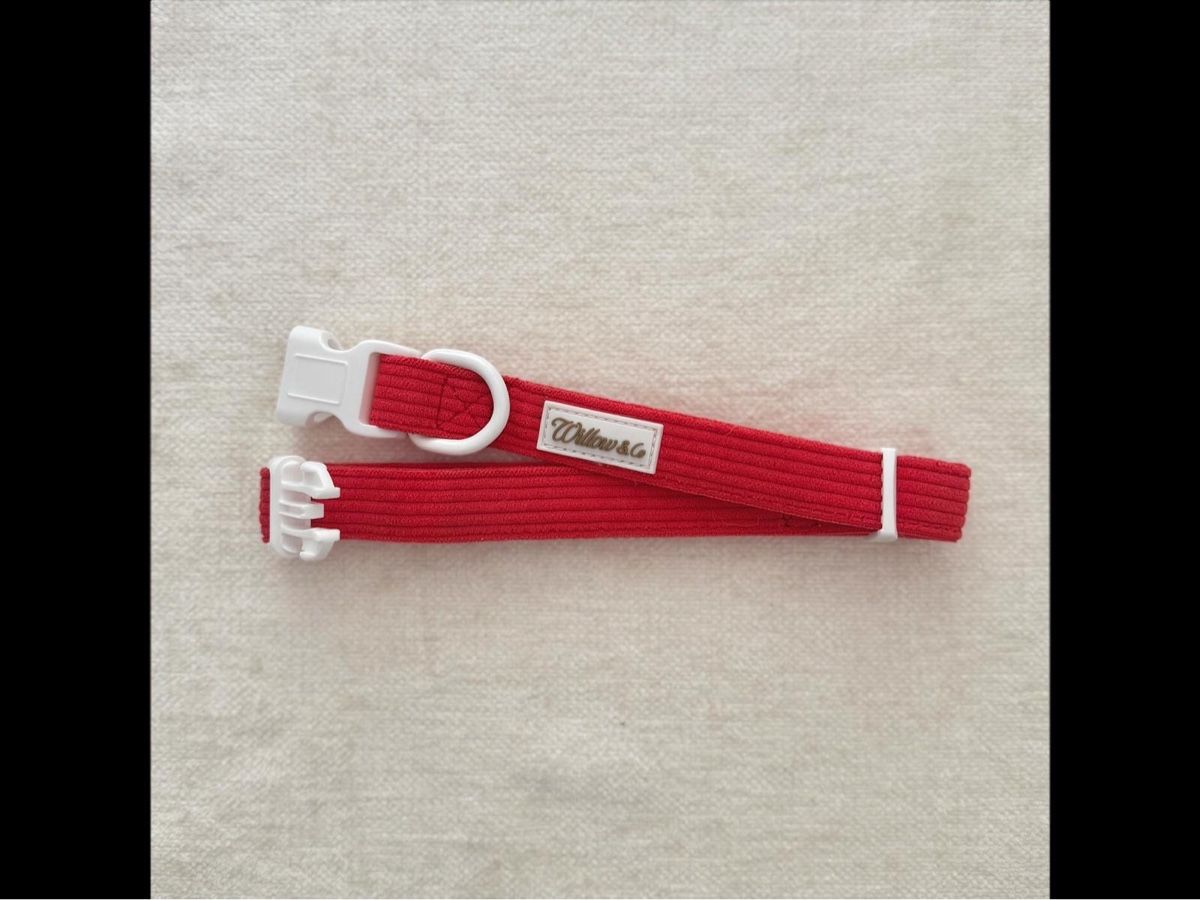 Kletterausrüstungen: Hundegeschirr – Willow & Co – Neu und originalverpackt aus Glattpark(Opfikon) von WillowAndCo 4
