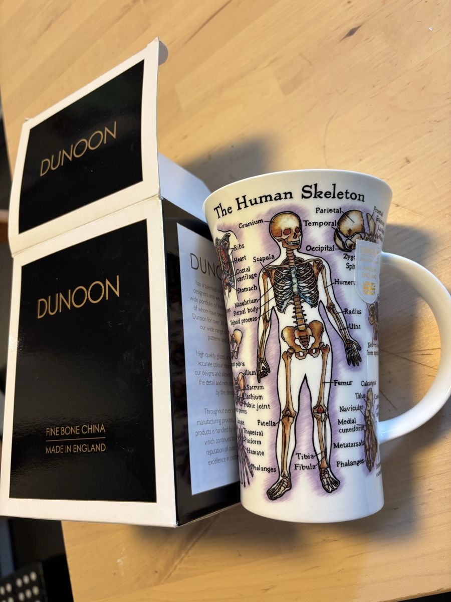 Tazze: Neue Dunoon Anatomie Tasse "Human Skeleton" – Nuovo e nell'imballaggio originale da Zürich venduto da Smesskammer 1