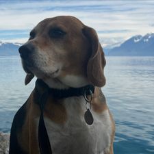 Profile image of Gracie-He
