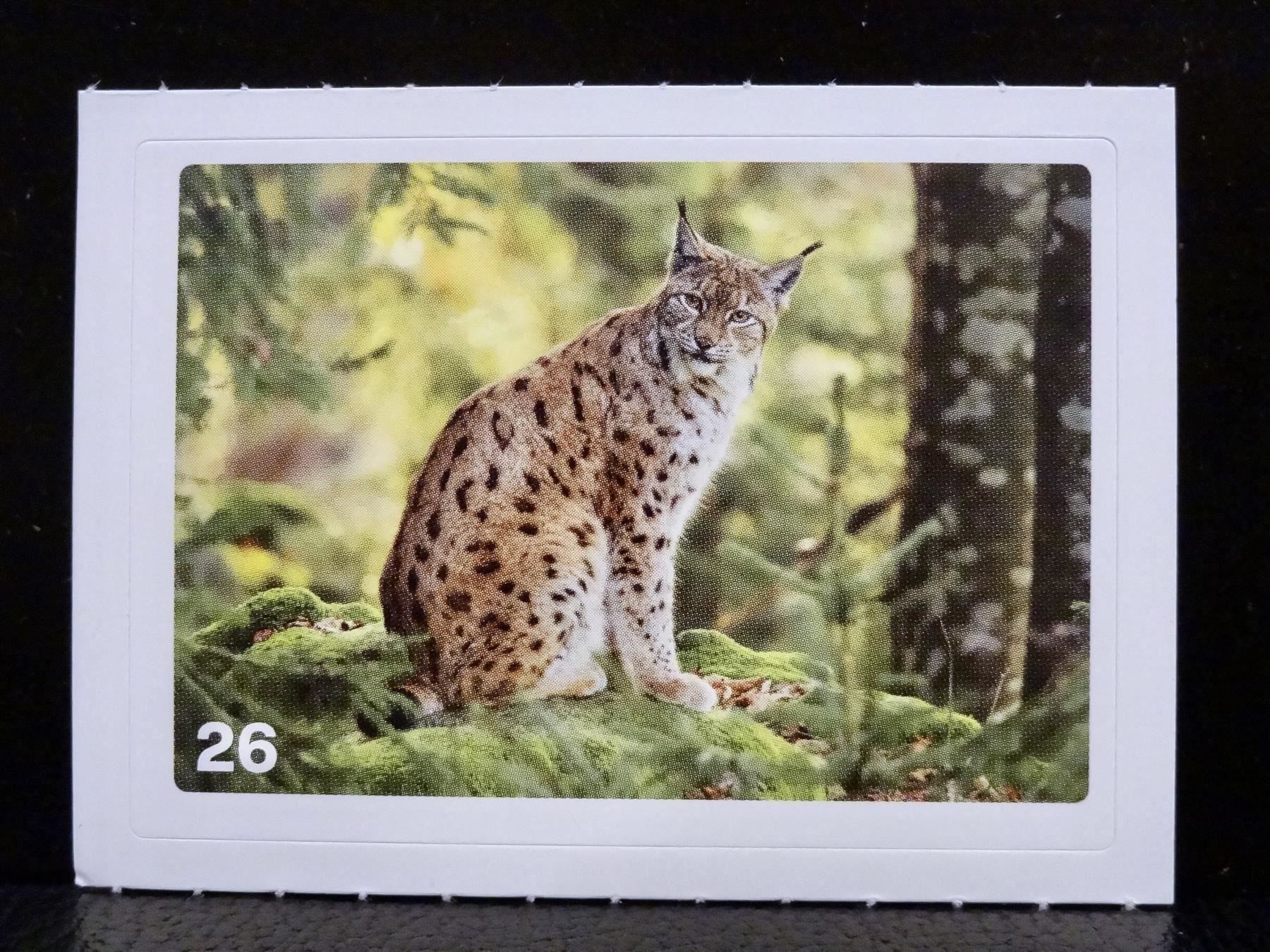 Migros Carte collezionabili: MIGROS MANIA Nature Detectives Nr. 26 – Nuovo e nell'imballaggio originale da Kerzers venduto da zimmergruen