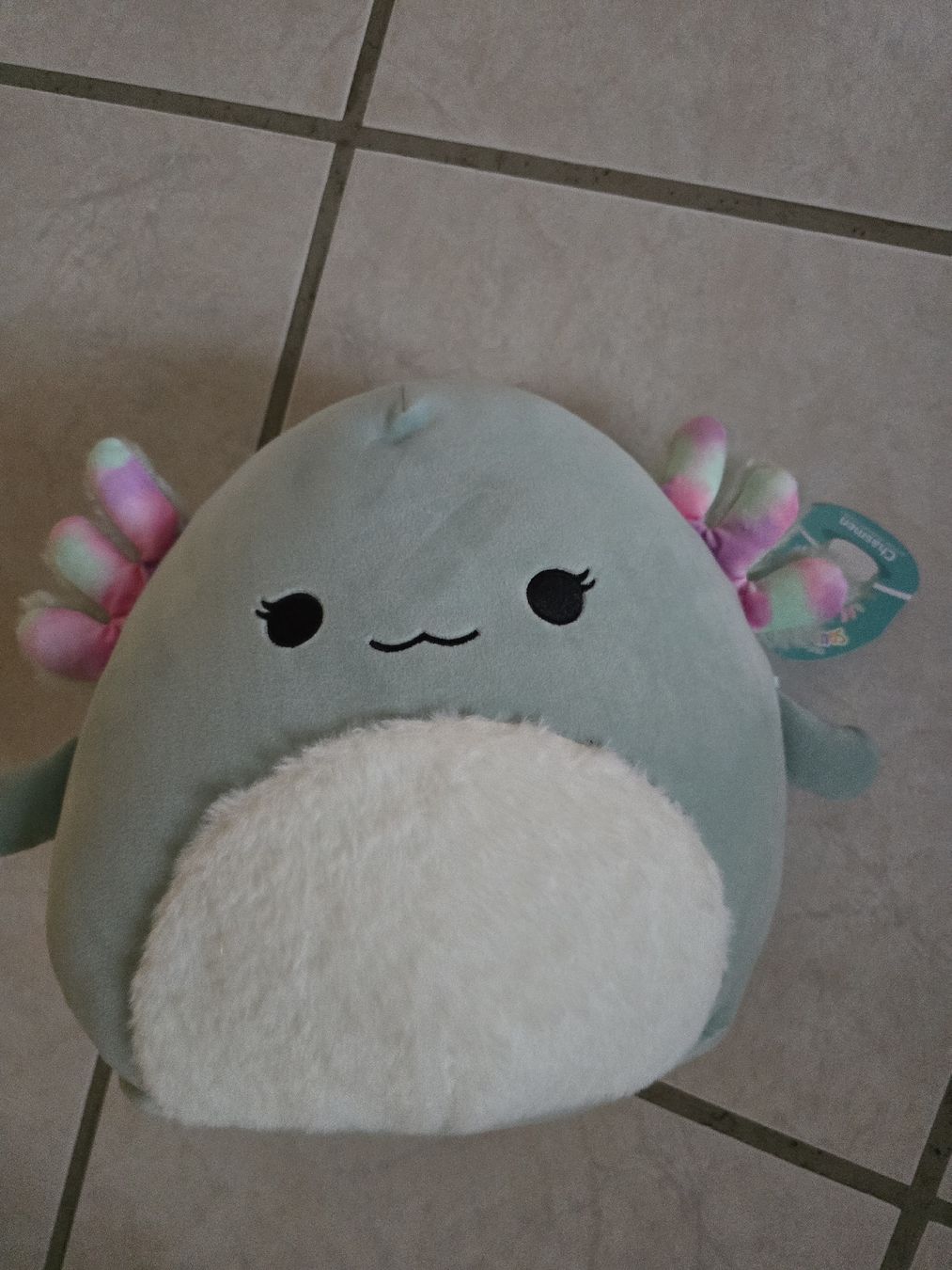 Squishmallows Giocattoli: Squishmallow Chasmen Axolotl – Nuovo (secondo la descrizione) da Büsserach venduto da sobis.trade