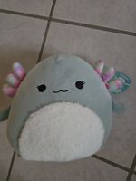 Squishmallow Chasmen Axolotl