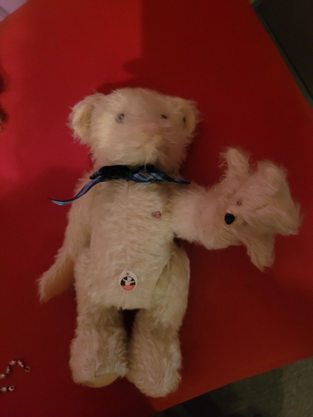 Giocattoli: Teddybär – Usato da GLARUS venduto da Glarus4 2