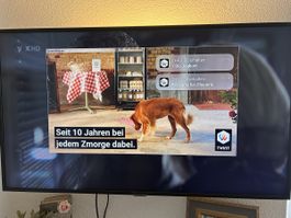 Samsung TV UE43RU7170U 43 Zoll mit Wandhalterung gebraucht