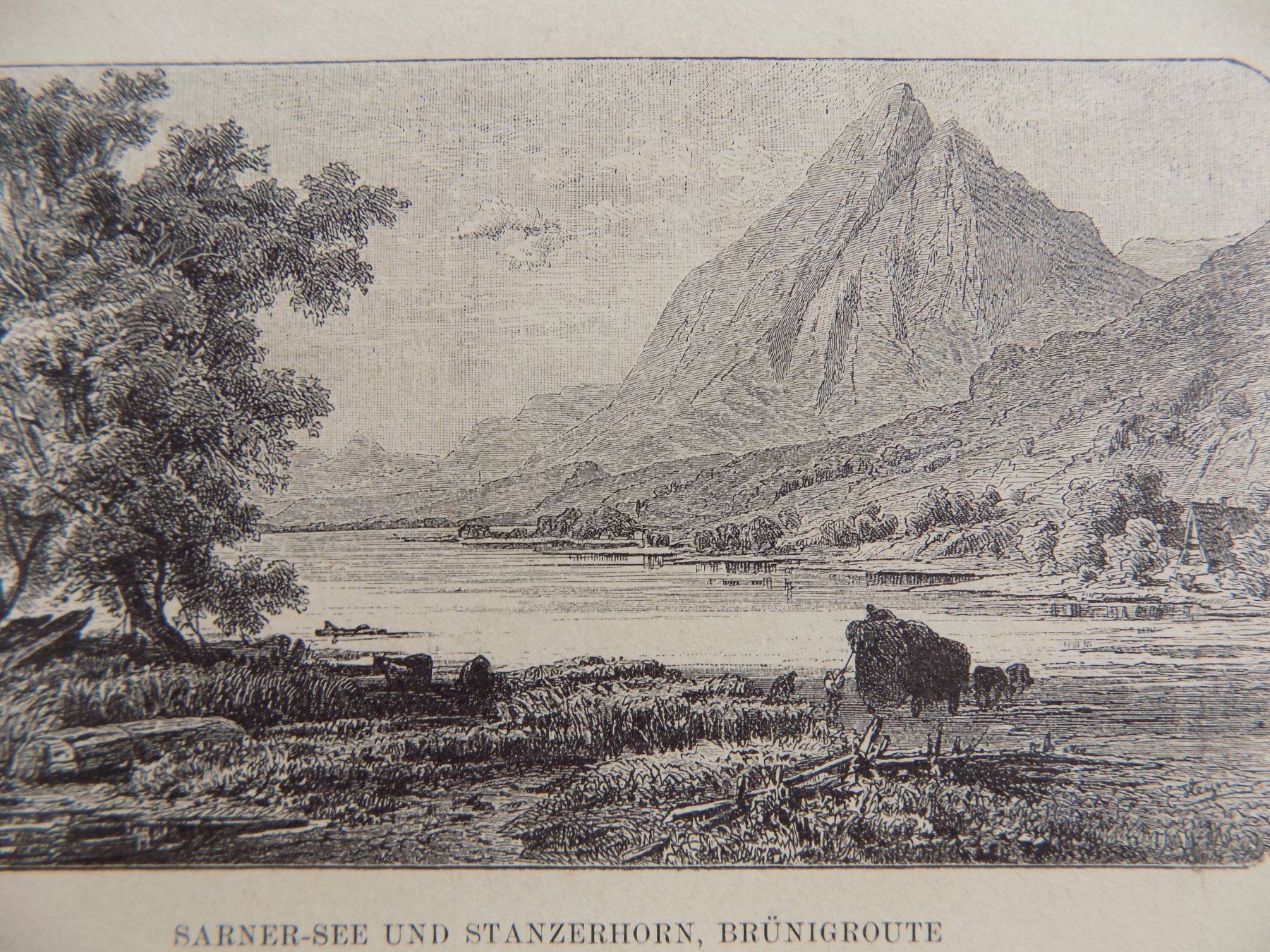 Incisioni: Sarnersee Stanserhorn – Usato da Risch venduto da Rischli15 4