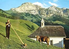 LUNGERN Obwaldner Alphornbläser