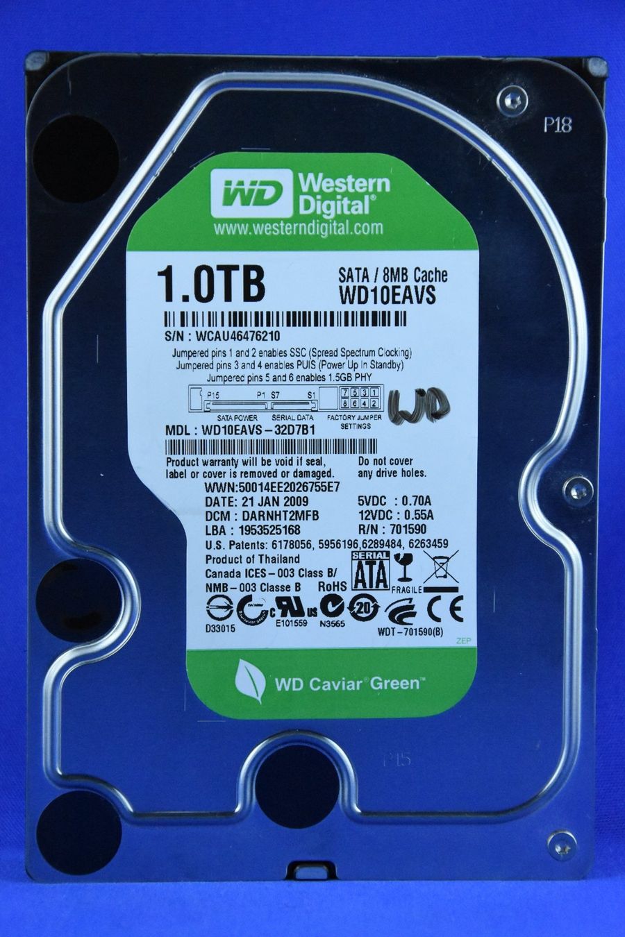 Western Digital Dischi rigidi: Western Digital Festplatte 1TB – Usato da Künten venduto da Arktisde